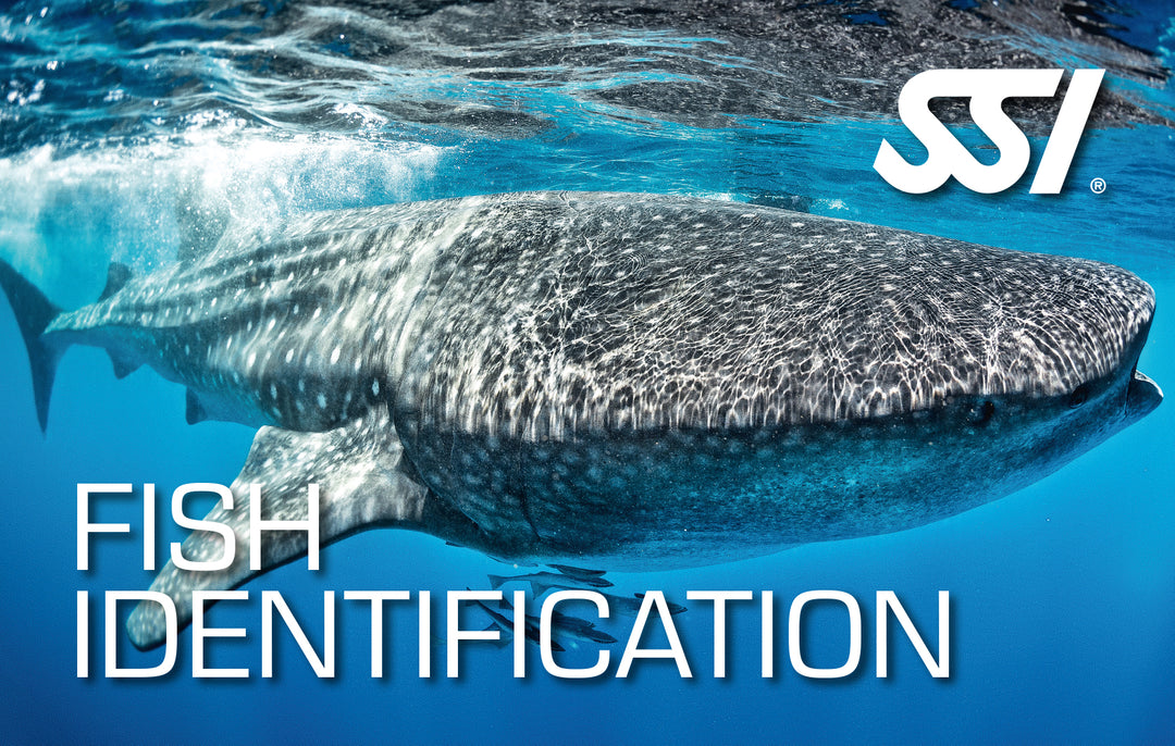 SSI Marine Education Bundle - Ecology and Identification